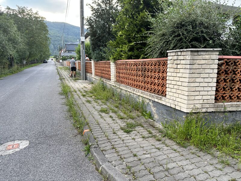 Zarastený chodník pri plote pred kosením